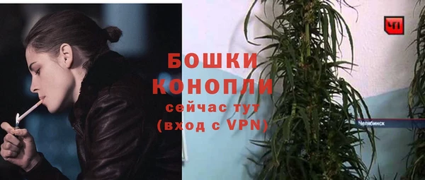 первитин Богородицк