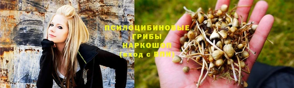 мяу мяу мука Богданович