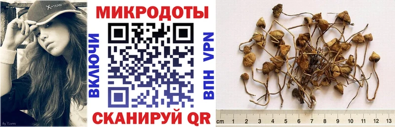 omg   Нытва  мориарти Telegram  Галлюциногенные грибы мухоморы 